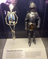 Exoskeleton by brownpau exoskeleton photo