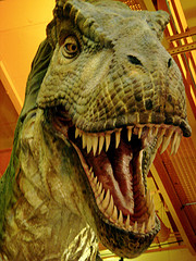 Dinosaur by InfoMofo dinosaurs photo