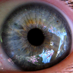 Eyeball by eek the cat eyeball photo
