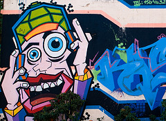 graffiti by Lieutenant Pol graffiti photo