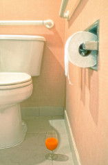 The Throne by Anne Worner toilet plumber photo
