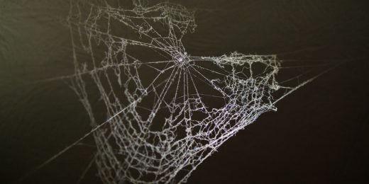 vegan spider silk
