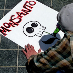 protesting monsanto in san francisco by msdonnalee corporate greed photo
