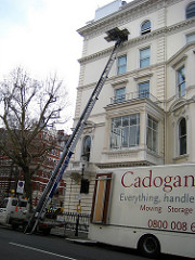 moving van by feesta moving van photo