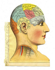 Phrenology head from The Household Physician, 1905 by crackdog physician photo
