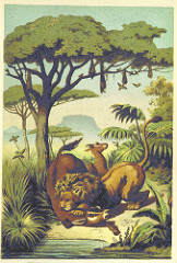 Image taken from page 65 of 'The Heroes of African Discovery & Adventure' by The British Library painting lion photo
