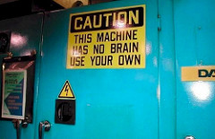 No Brain by Pierre-Olivier brain photo