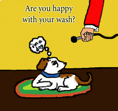 Are you happy with your wash? by AKJ Works Without Working pollster photo