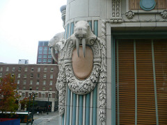 Walrus by lsiegert walrus photo