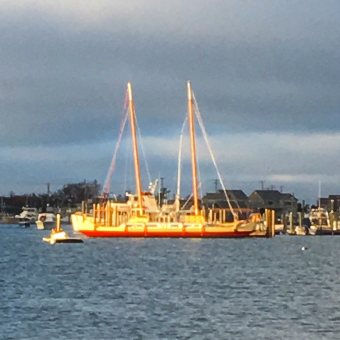 montauk catamaran company