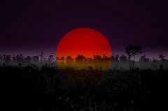 ART by cuatrok77 red vs blue photo