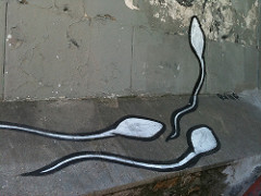 Sperm Graffiti by Grace Hebert sperm photo
