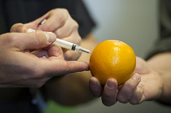Province expands naloxone program, adds treatment spaces 31048 by PremierofAlberta opioids photo