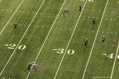Up High by Tom Pumphret New Orleans Saints photo