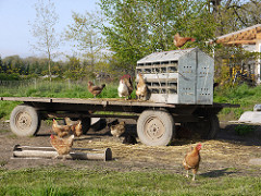 Farm by Bernard McManus farm photo