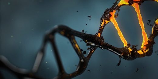 DNA