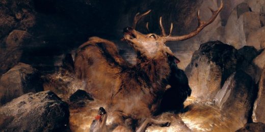 wildlife management