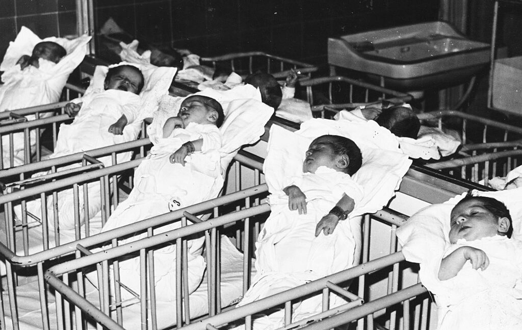 fertility rates