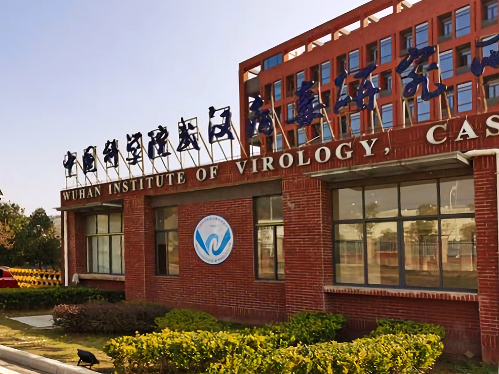 Wuhan Lab-leak theory