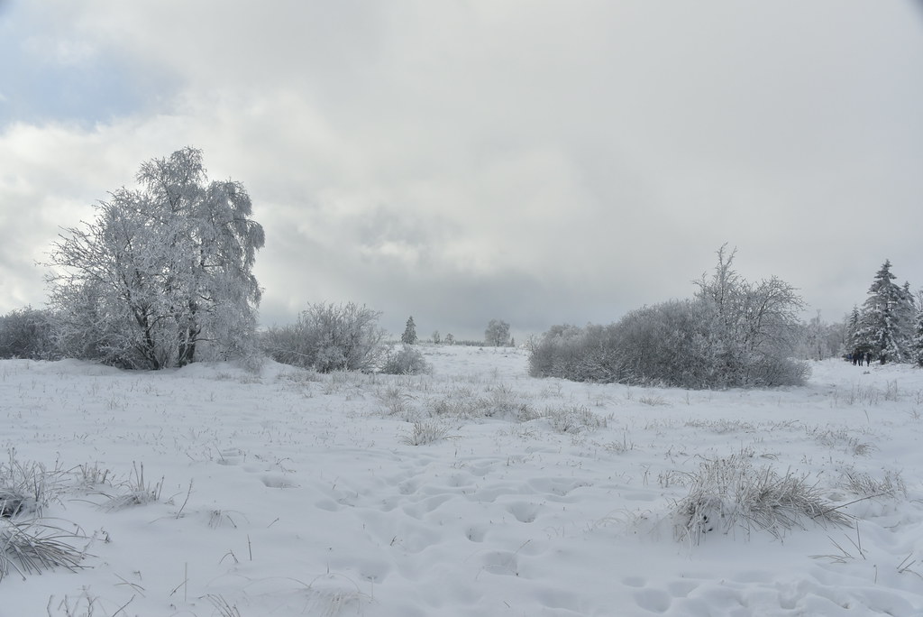 Terrain hostile sous la neige | Stephane Mignon | Flickr